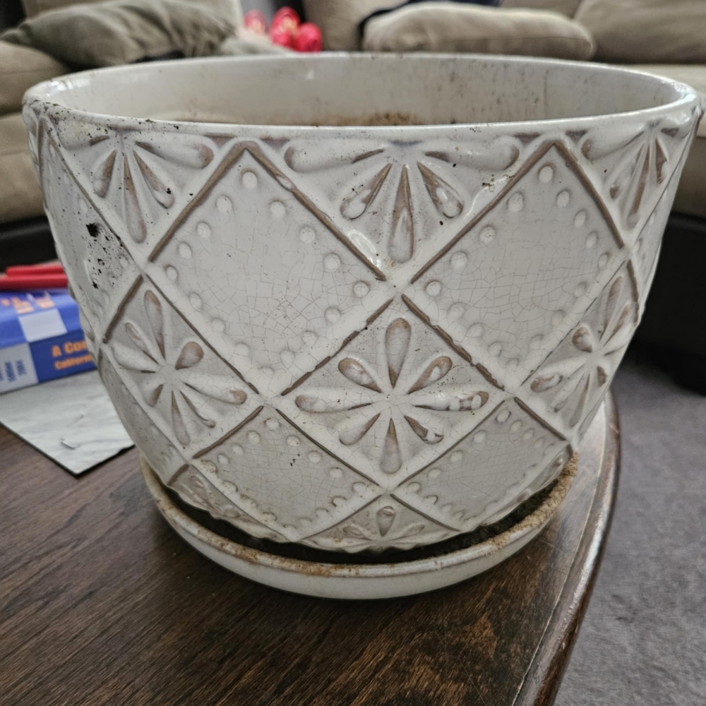 Plant pot